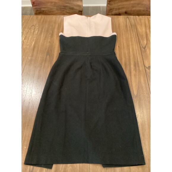 BCBG Maxazria Tinna Black Soft Pink Colorblock Sheath Work Cocktail dress 8 - Picture 3 of 10